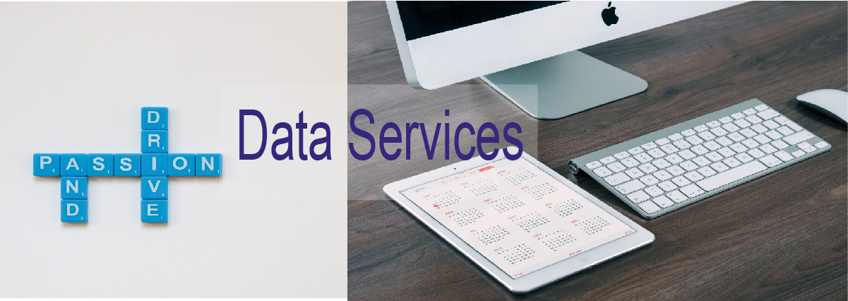 SoftOutlook provides complete data services from capturing data, deduping, making databases, populating databases and backing up your data. Working with Oracle, SQL Server, MySQL, NoSQL, MS Access or MS Excel, we offer a range of data services.
